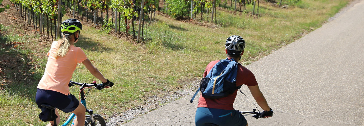 bici vigne coppia